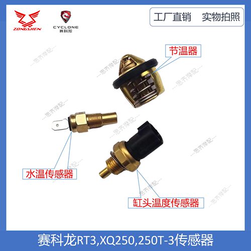 赛科龙RT3.250T-3节温器传感器