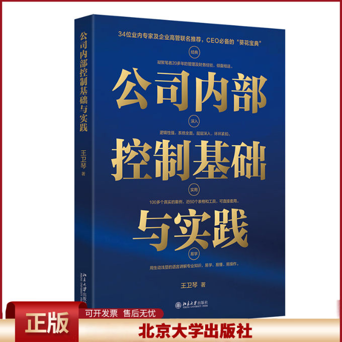 公司内部控制基础与实践 你应该懂的内部控制常识 内部控制基本概念 搭建数字信息化传递系统 内部控制审计