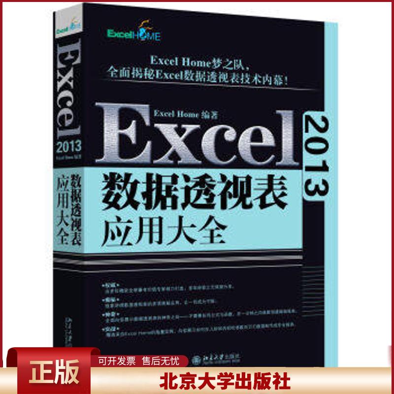 正版 Excel 2013数据透视表应用大全 Excel 北京大学出版社 9787301272909