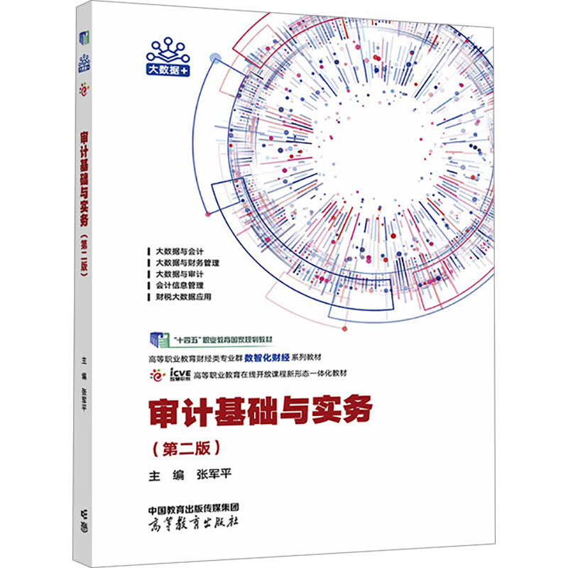 正版 审计基础与实务(第二版) 张军平 编 高等教育出版社 9787040629804