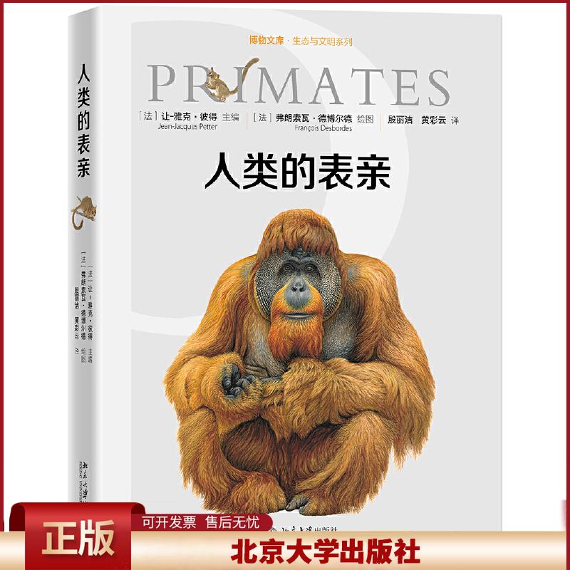 正版 人类的表亲 [法]让-雅克·彼得 ，弗朗索瓦·德博尔德 北京大学出版社 9787301305546
