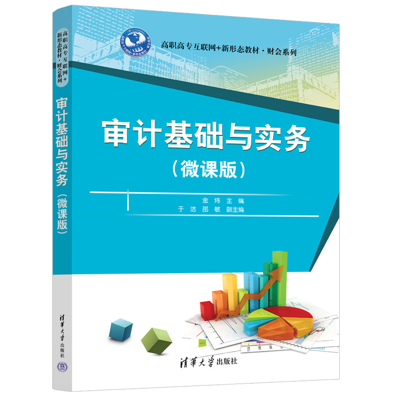 正版 审计基础与实务(微课版) 金炜 编 清华大学出版社 9787302678748