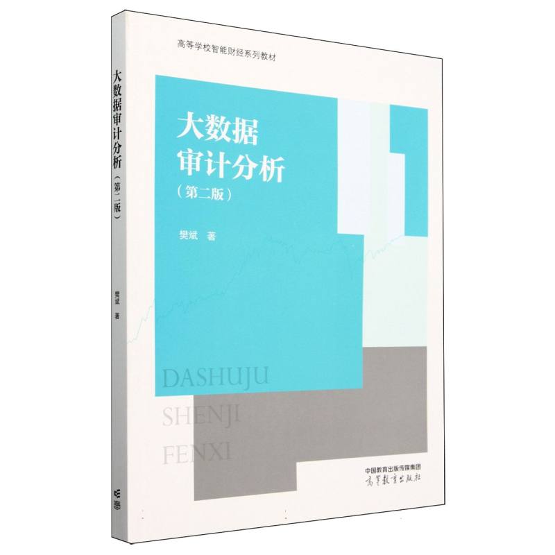 正版 大数据审计分析(第二版) 樊斌| 高等教育 9787040624205