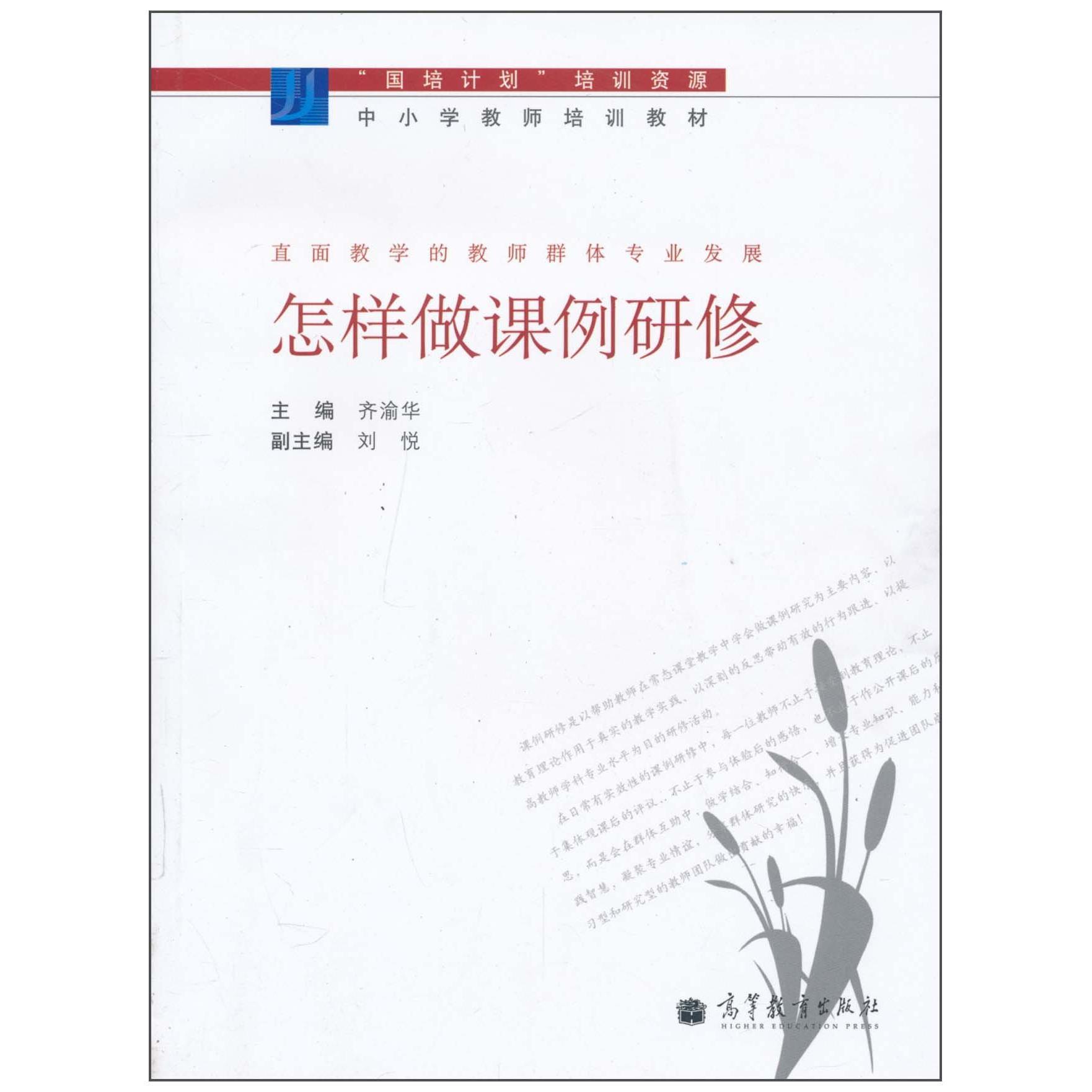 正版 怎样做课例研修 齐渝华 高等教育出版社 9787040309362