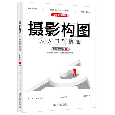 正版图书 摄影构图从入门到精通(视频教程版)北京大学视觉中国 500px.六合视界部落