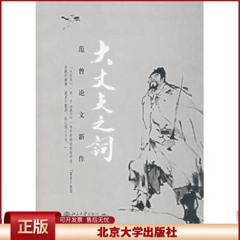 正版 大丈夫之词——范曾论文新作 范曾 著 北京大学出版社 9787301113929