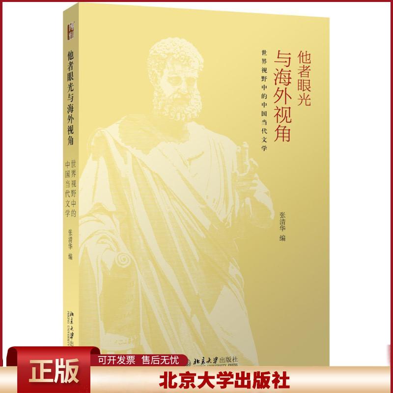 正版 他者眼光与海外视角 张清华 北京大学出版社 9787301264560