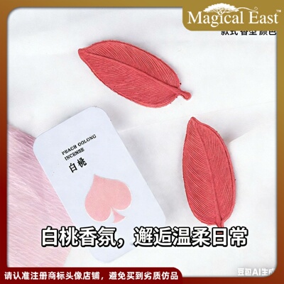 MagicalEast居家薰香点燃香片叶形香薰片香氛家用除味创意香薰