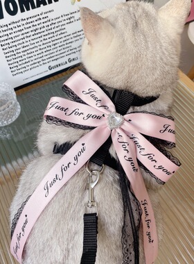 新款字母蝴蝶结宠物胸背带外出溜猫遛狗防挣脱牵引绳可调节