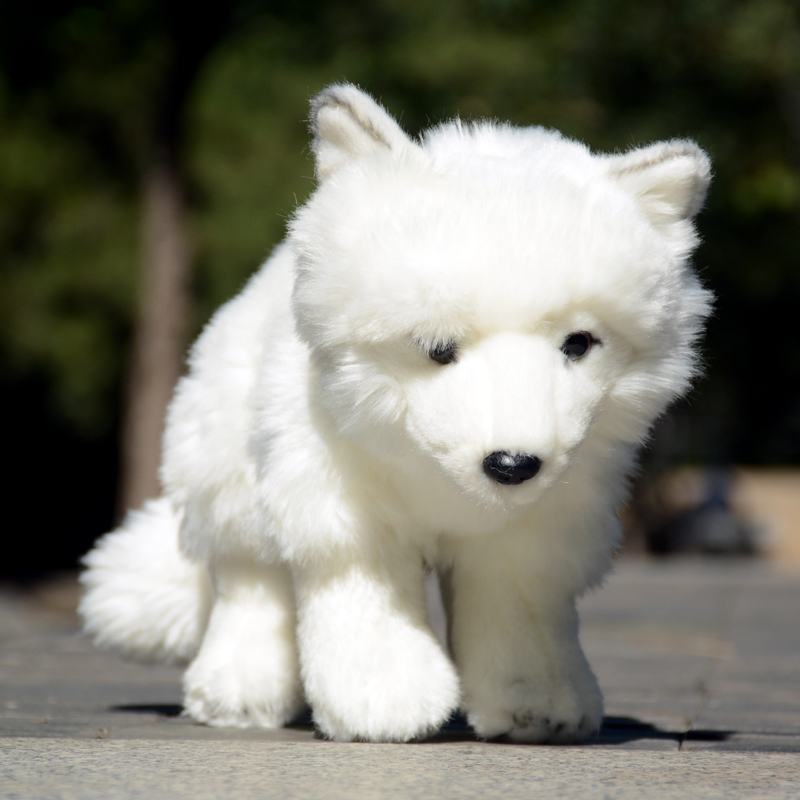 其他狐狸公仔PP棉仿真