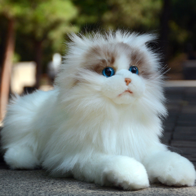 布偶猫公仔PP棉仿真可爱