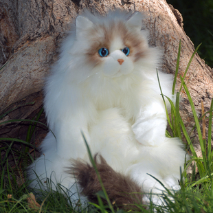 仿真布偶背包玩偶仿真动物猫咪公仔毛绒玩具送男女生儿童生日礼物