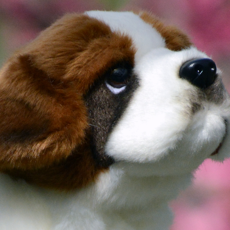 可爱圣伯纳犬公仔毛绒玩具仿真狗狗玩偶动物模型儿童生日礼物礼品