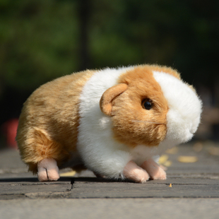 仿真仓鼠公仔荷兰猪毛绒玩偶豚鼠天竺鼠玩具摆件送儿童送女生礼物