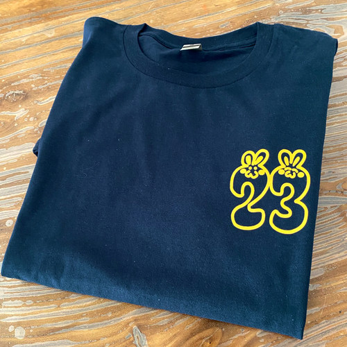 现货麻友生诞T恤Akb48选举初日