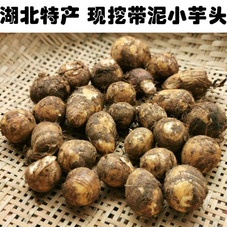 湖北特产现挖新鲜带泥小芋头煲汤