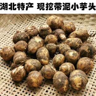 湖北特产 应城每天现挖带泥新鲜小芋头 粉芋头煲汤 小毛芋3斤包邮