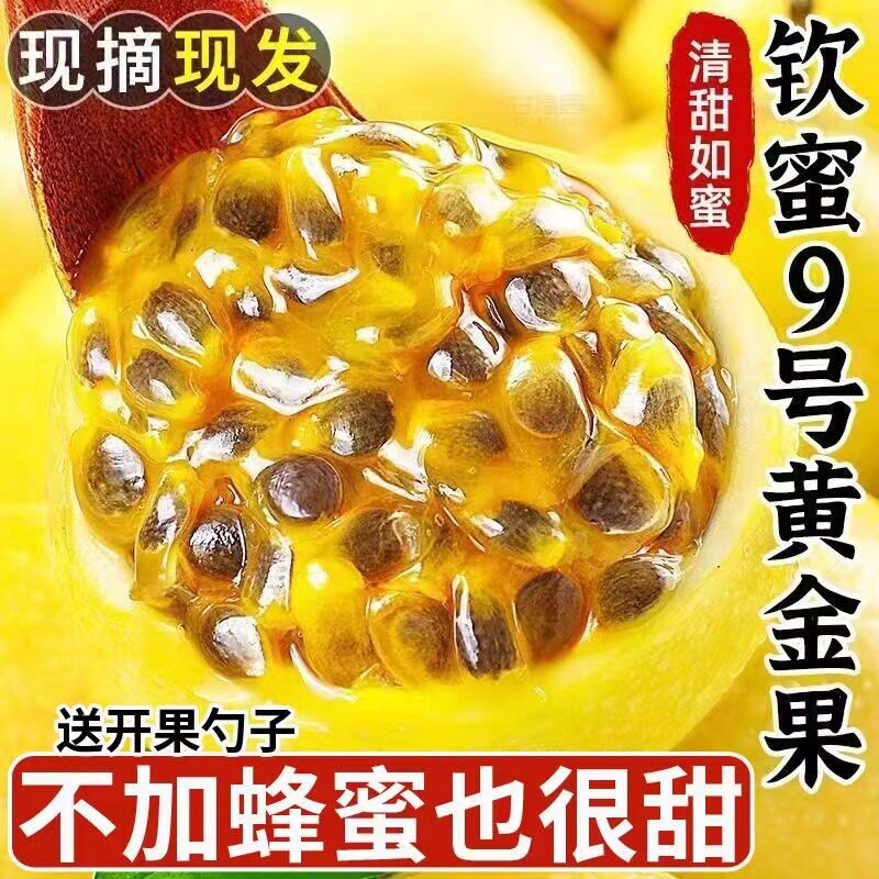 正宗钦蜜9号黄金百香果现摘大果