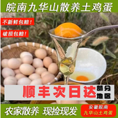 九华山土鸡蛋正宗农家散养新鲜农家蛋可生食柴笨草鸡蛋孕妇蛋
