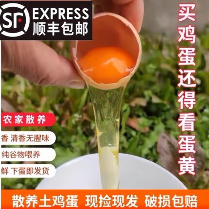 土鸡蛋正宗九华山农家散养新鲜农家蛋草柴笨鸡蛋谷物鸡蛋现捡鲜发