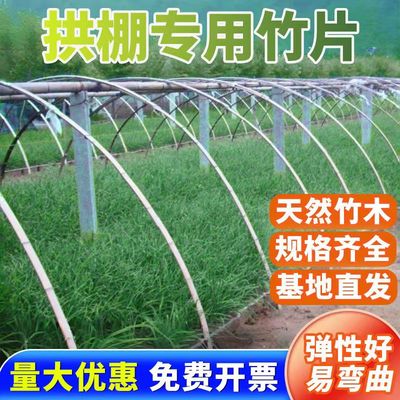 温室大棚骨架钢管养殖棚