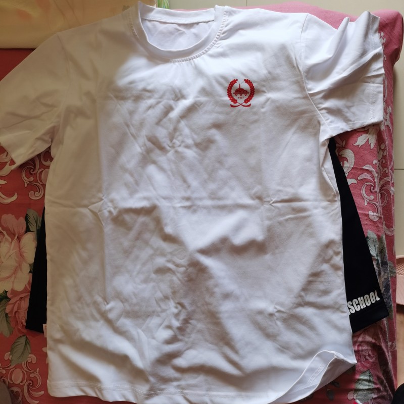 北京育才高中部圆领T恤短袖半袖纯棉运动短裤男女同款校服校裤