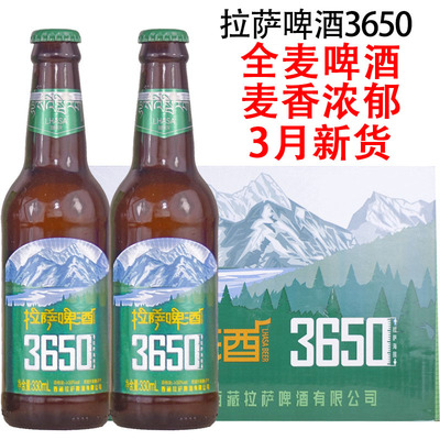 拉萨啤酒330ml8度全麦