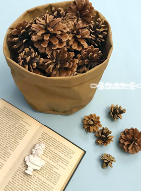 天然松果松塔拍照道具装饰不单独出售