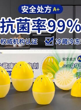 日式冰箱除味剂家用冷冻冷藏除臭剂杀菌净化冰柜去异味器清洁神器