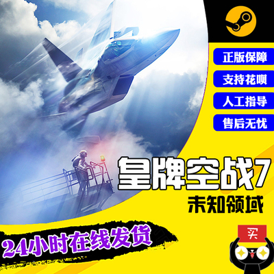 pc中文正版steam皇牌空战