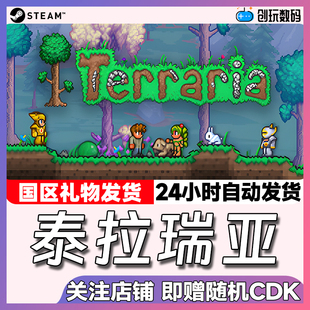 Steam游戏 泰拉瑞亚 Terraria 多人联机 现货 国区礼物