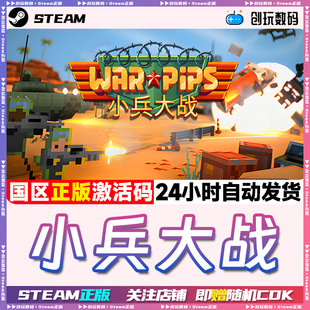 國區(qū)激活碼 Steam正版 小兵大戰(zhàn) Warpips 現(xiàn)貨秒發(fā)