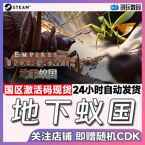 Steam地下蚁国国区激活码模拟