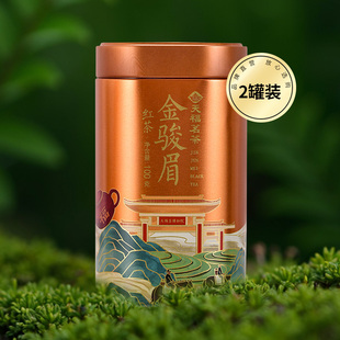 天福茗茶芳茗金骏眉福建武夷山中小叶种工夫红茶罐装 2罐 散茶100g