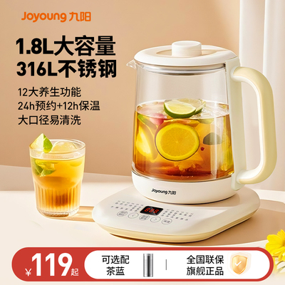 九阳养生壶家用炖煮一体