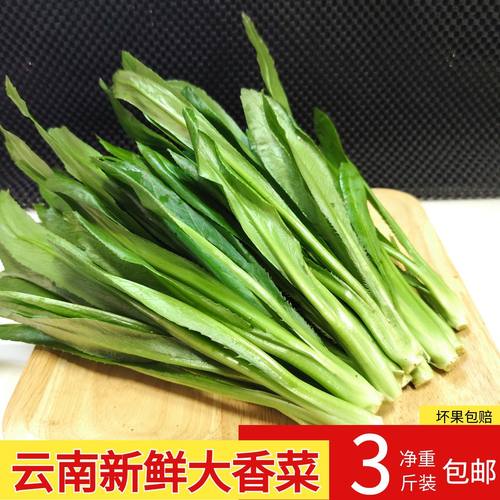 云南新鲜大香菜大芫荽傣味调料
