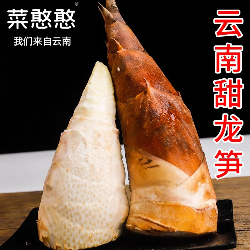 新鲜云南普洱甜竹笋思茅特产甜笋