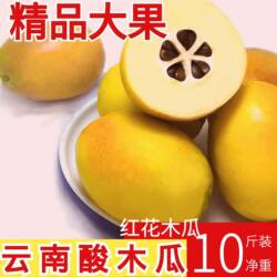 云南新鲜酸木瓜酸味水果大理临沧生吃青木瓜泡酒红花木瓜傣味调味