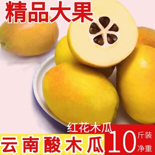 云南新鲜酸木瓜酸味水果大理临沧生吃青木瓜泡酒红花木瓜傣味调味