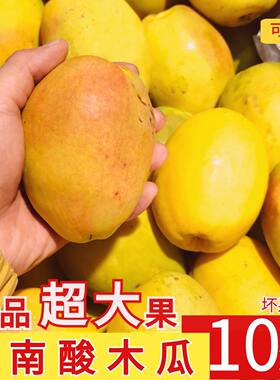 云南大理特产红花酸木瓜大果水果