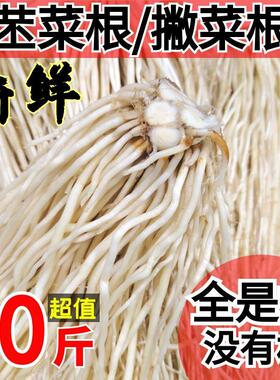 云南德宏新鲜撇菜根苤菜根大韭菜根月子良菜可腌制500克新鲜蔬菜