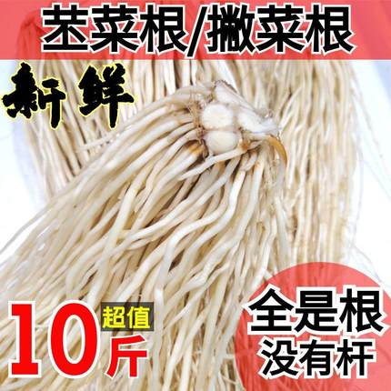 云南德宏新鲜撇菜根苤菜根大韭菜根全根须月子良菜可腌制新鲜蔬菜