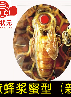 蜂状元意蜂蜜浆活体蜂王