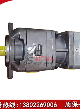 海特克SUNNY齿轮泵HG21/HG00-100/20-63/08-01R-VPC-D-36-1双联泵