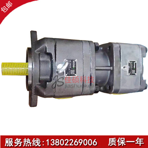 海特克液压齿轮泵高压泵