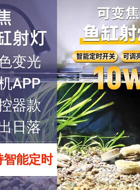 定时鱼缸射灯变焦南美造景电龙专用灯原生水草灯三湖防水小鱼缸灯