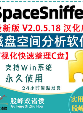 SpaceSniffer空间嗅探器中文版C盘可视化快速分析硬磁盘清理文件