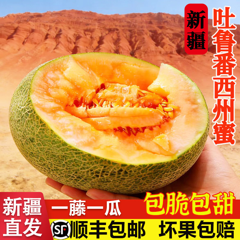 新疆哈密瓜吐鲁番西州蜜新鲜应季水果甜脆蜜瓜香瓜甜瓜顺丰包邮