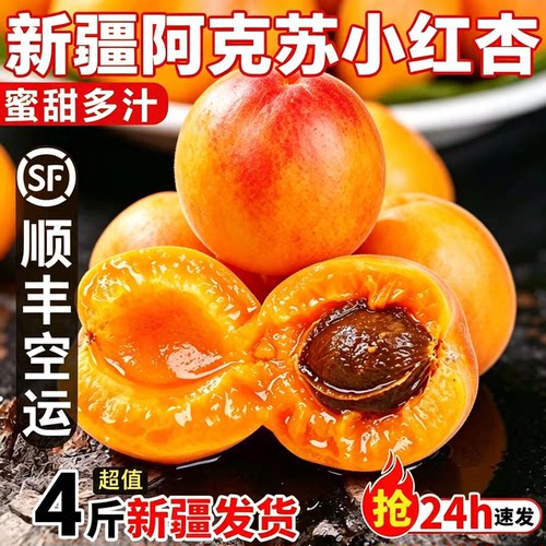 新疆阿克苏小红杏顺丰空运包邮