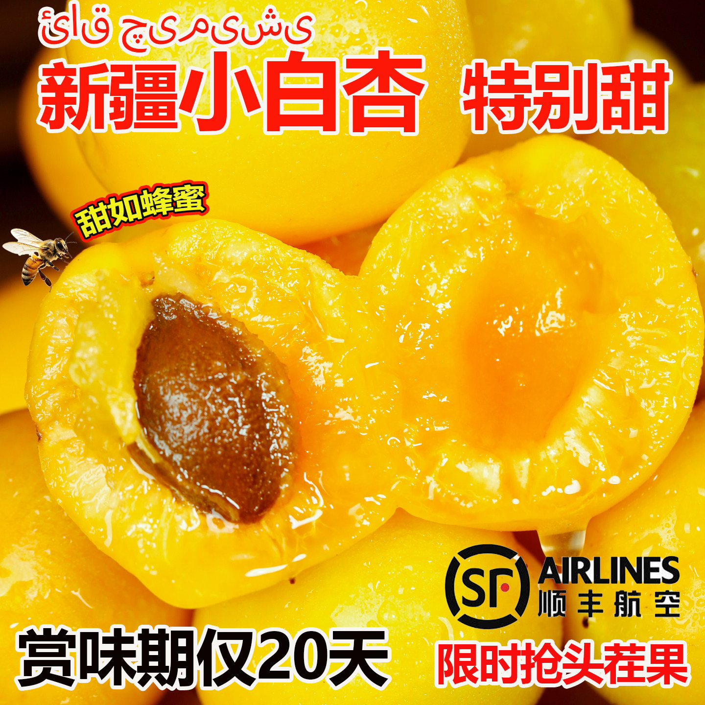 新疆小白杏子树上蜂蜜新鲜应季水果轮台甜杏子礼盒3-4斤顺丰空运